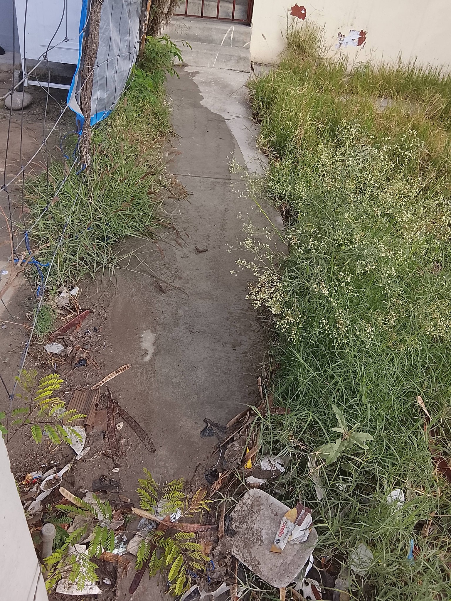Escurrimiento de aguas residuales documentado en el sector Santa Lucía de Ciénega de Flores