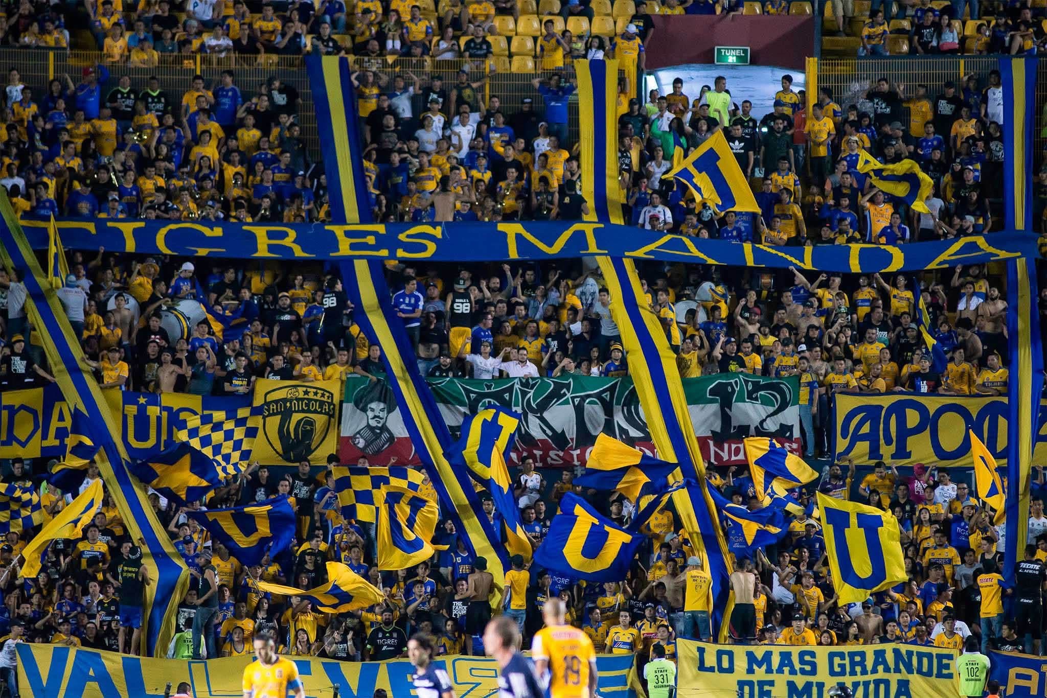 Aficionados del club Tigres con banderas azules y amarillas en las gradas del Estadio Universitario