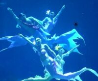 Varias personas con colas de sirena realizan movimientos bajo el agua